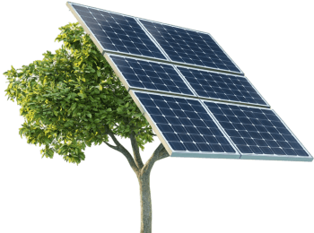 solar energy tree
